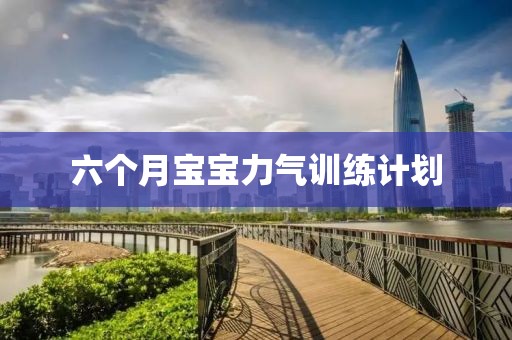 六个月宝宝力气训练计划