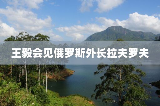 王毅会见俄罗斯外长拉夫罗夫