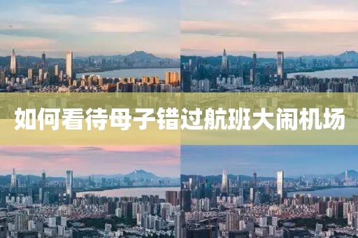 如何看待母子错过航班大闹机场