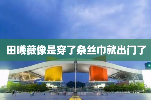 田曦薇像是穿了条丝巾就出门了