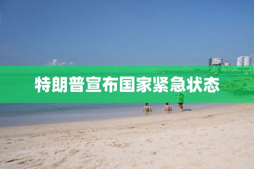 特朗普宣布国家紧急状态