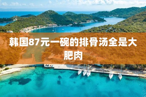 韩国87元一碗的排骨汤全是大肥肉