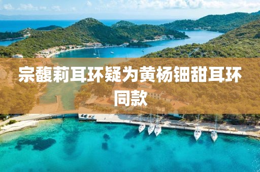 宗馥莉耳环疑为黄杨钿甜耳环同款