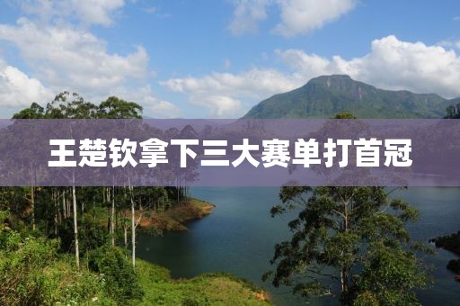 王楚钦拿下三大赛单打首冠