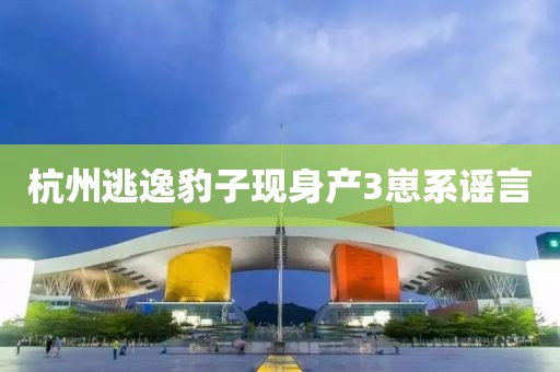 杭州逃逸豹子现身产3崽系谣言
