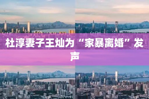 杜淳妻子王灿为“家暴离婚”发声