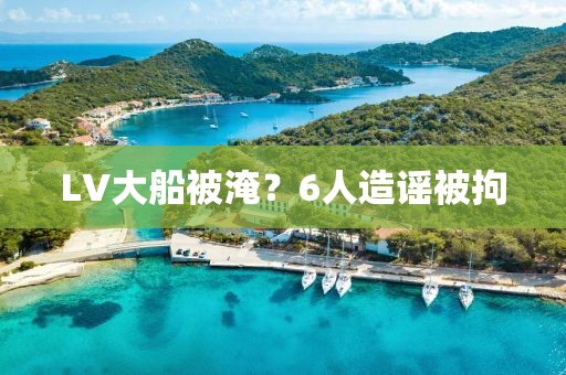LV大船被淹？6人造谣被拘