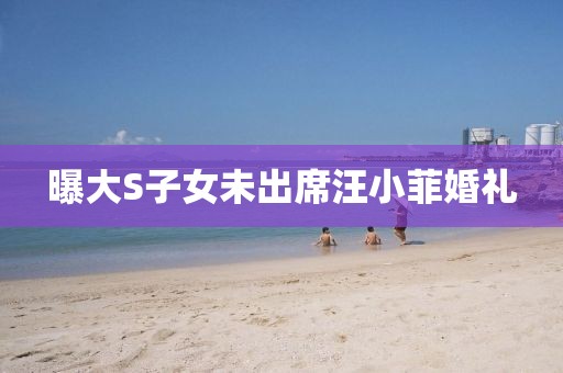 曝大S子女未出席汪小菲婚礼