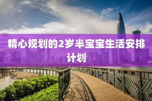 精心规划的2岁半宝宝生活安排计划
