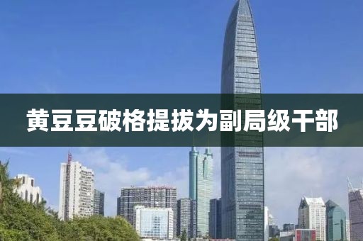 黄豆豆破格提拔为副局级干部