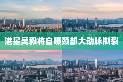 港星吴毅将自曝颈部大动脉撕裂