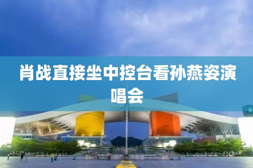 肖战直接坐中控台看孙燕姿演唱会