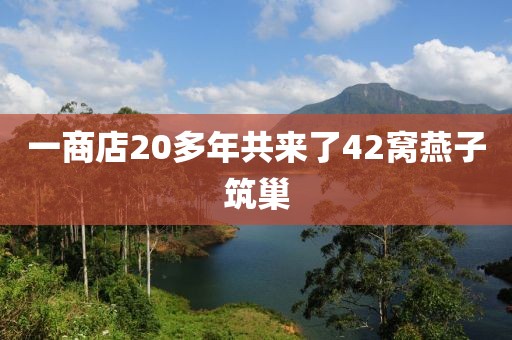 一商店20多年共来了42窝燕子筑巢
