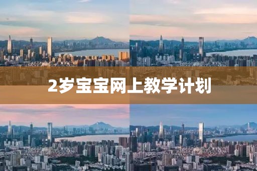 2岁宝宝网上教学计划
