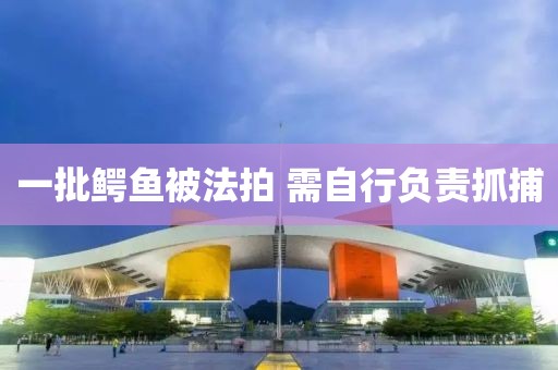 一批鳄鱼被法拍 需自行负责抓捕