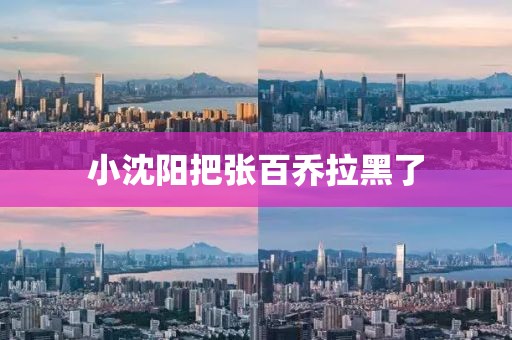 小沈阳把张百乔拉黑了