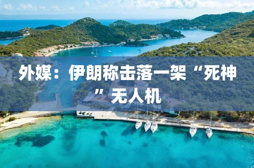 外媒：伊朗称击落一架“死神”无人机