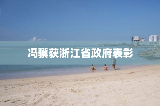 冯骥获浙江省政府表彰