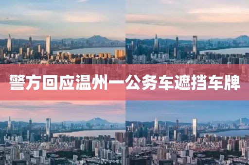警方回应温州一公务车遮挡车牌
