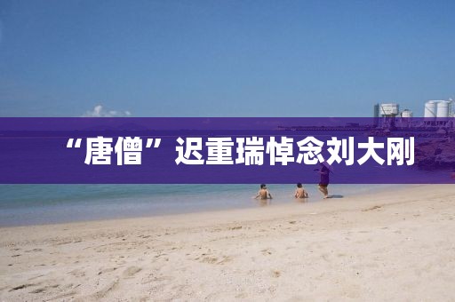 “唐僧”迟重瑞悼念刘大刚