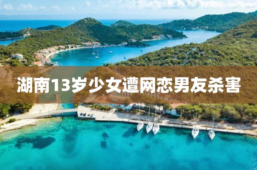 湖南13岁少女遭网恋男友杀害