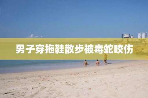 男子穿拖鞋散步被毒蛇咬伤