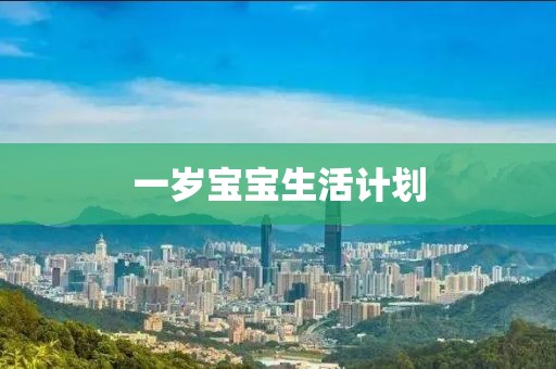 一岁宝宝生活计划