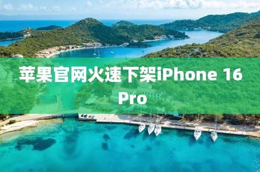 苹果官网火速下架iPhone 16 Pro
