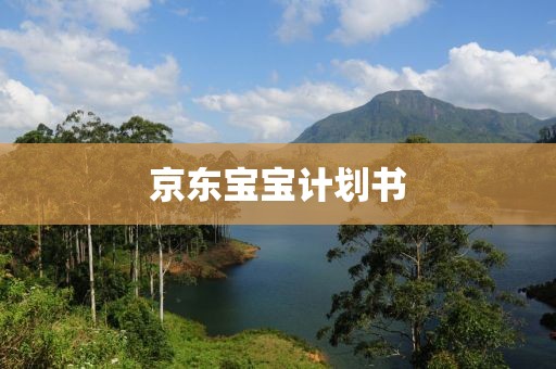 京东宝宝计划书