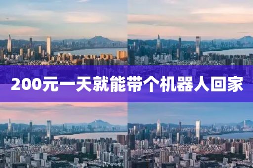 200元一天就能带个机器人回家