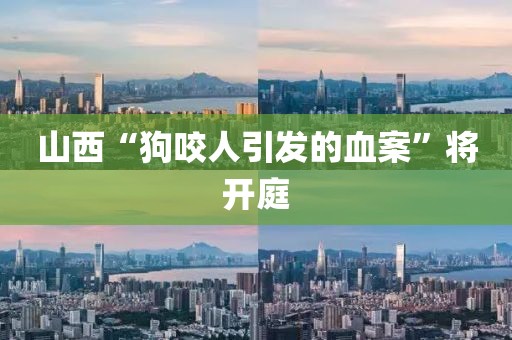 山西“狗咬人引发的血案”将开庭