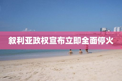 叙利亚政权宣布立即全面停火