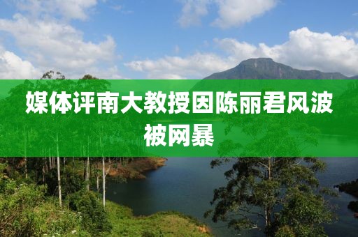 媒体评南大教授因陈丽君风波被网暴