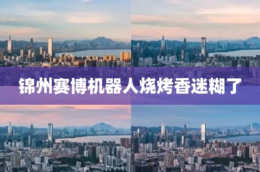 锦州赛博机器人烧烤香迷糊了