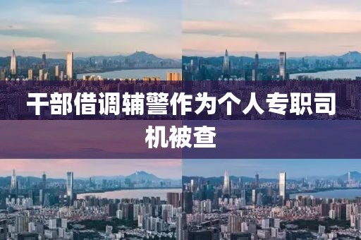 干部借调辅警作为个人专职司机被查