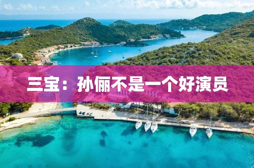 三宝：孙俪不是一个好演员